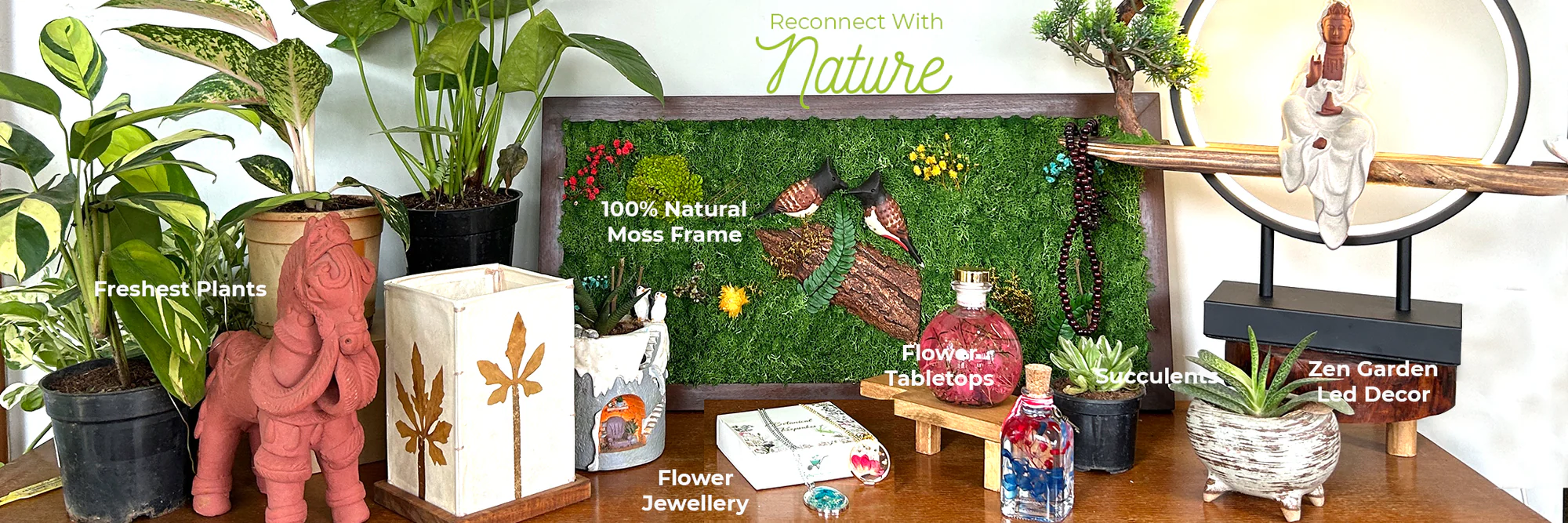 Bring Nature Home Today